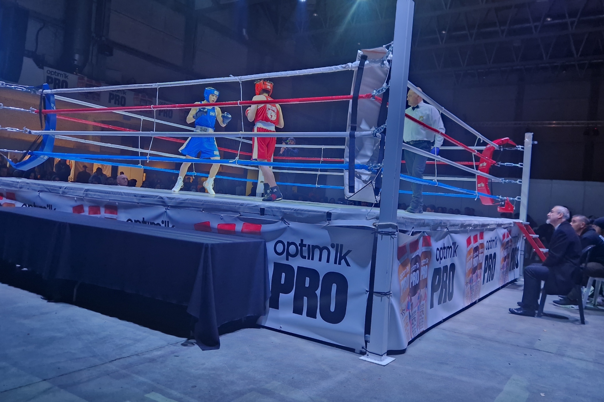 而凯尔特人 而凯尔特人