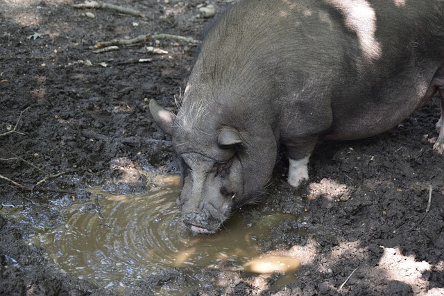 的至关重要 的至关重要
