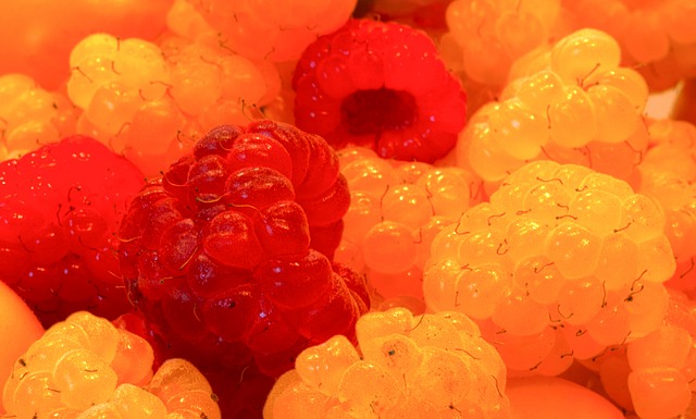 新战术与策 新战术与策