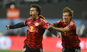 生涯的一个 生涯的一个