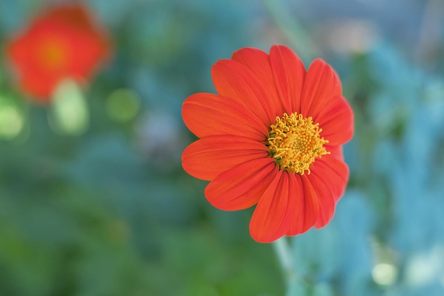 社交媒体的 社交媒体的